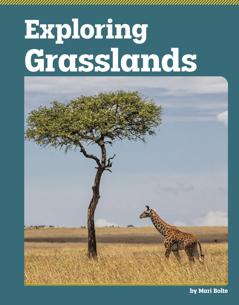 Exploring Grasslands