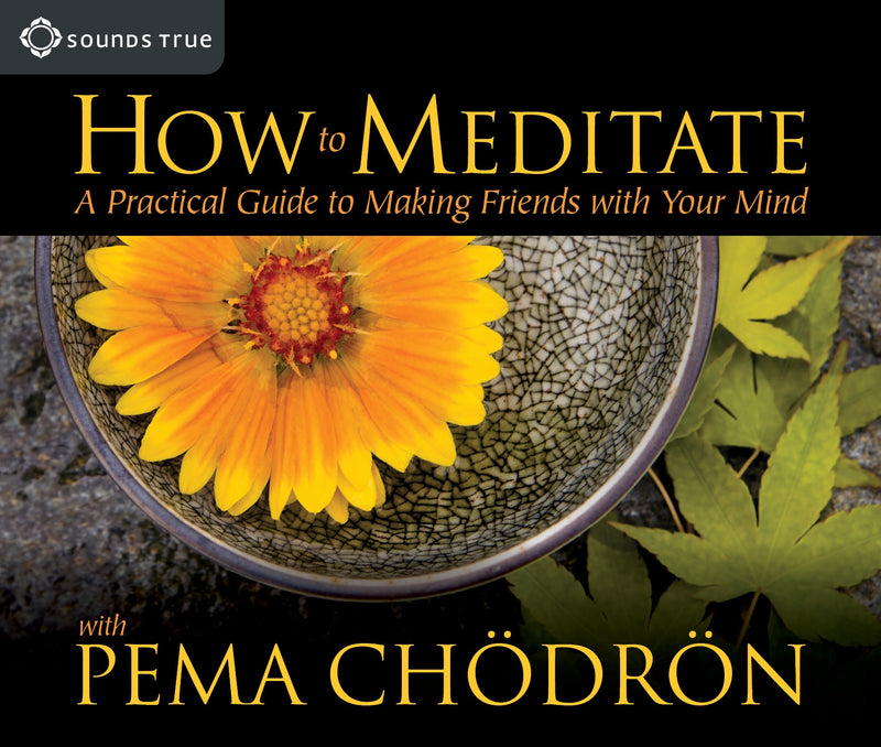 How to Meditate with Pema ChÃ¶drÃ¶n