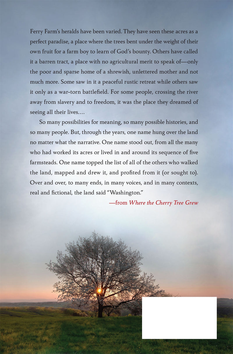 Where the Cherry Tree Grew