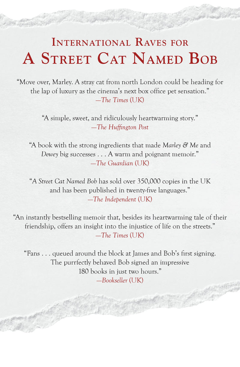 A Street Cat Named Bob