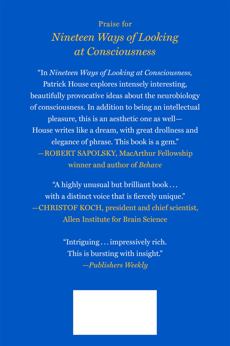 Nineteen Ways of Looking at Consciousness