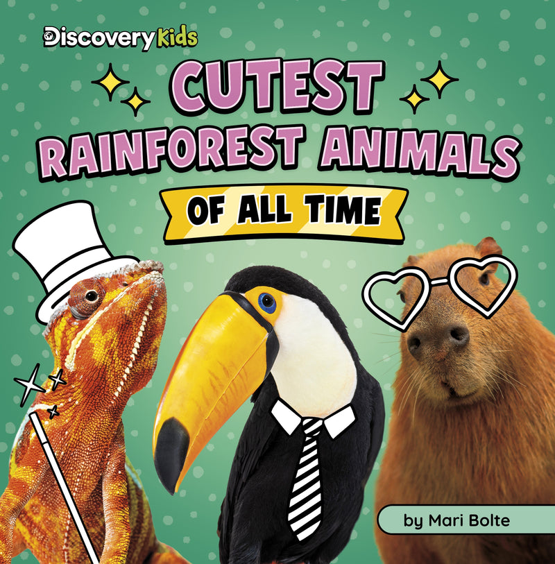 Cutest Rainforest Animals of All Time