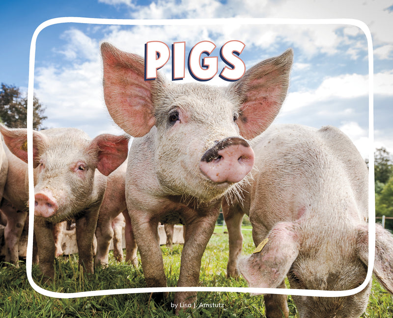 Pigs