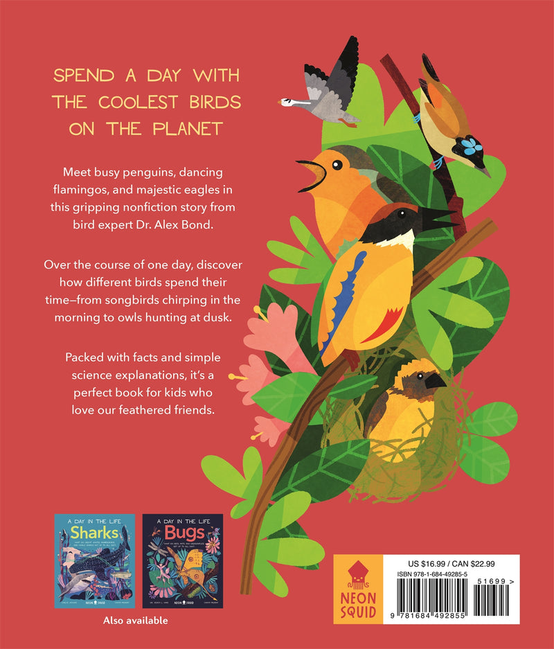 Birds (A Day in the Life)