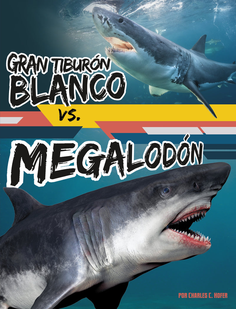 Gran tiburón blanco vs. megalodón