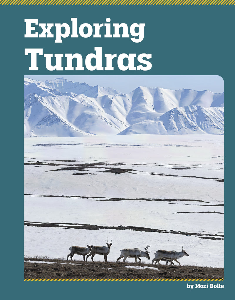 Exploring Tundras