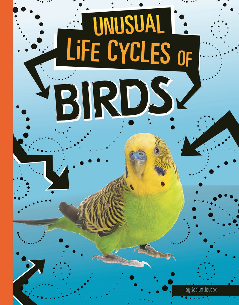 Unusual Life Cycles of Birds