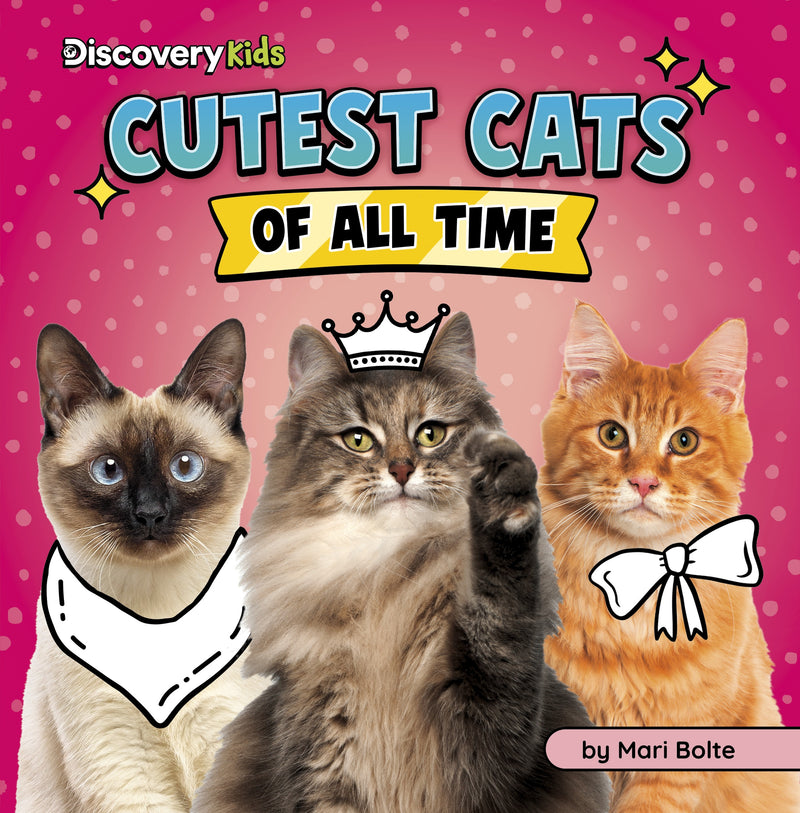 Cutest Cats of All Time