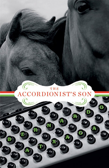 The Accordionist's Son