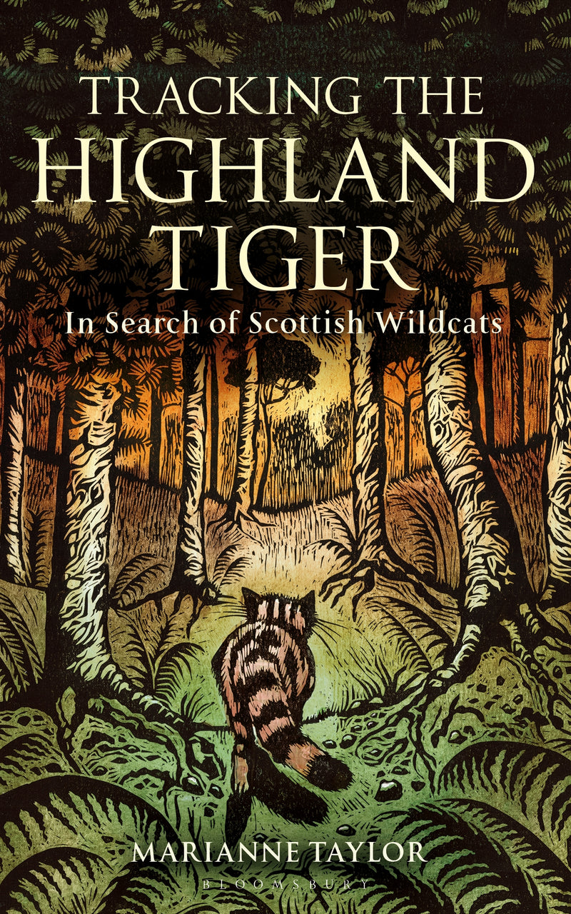 Tracking The Highland Tiger