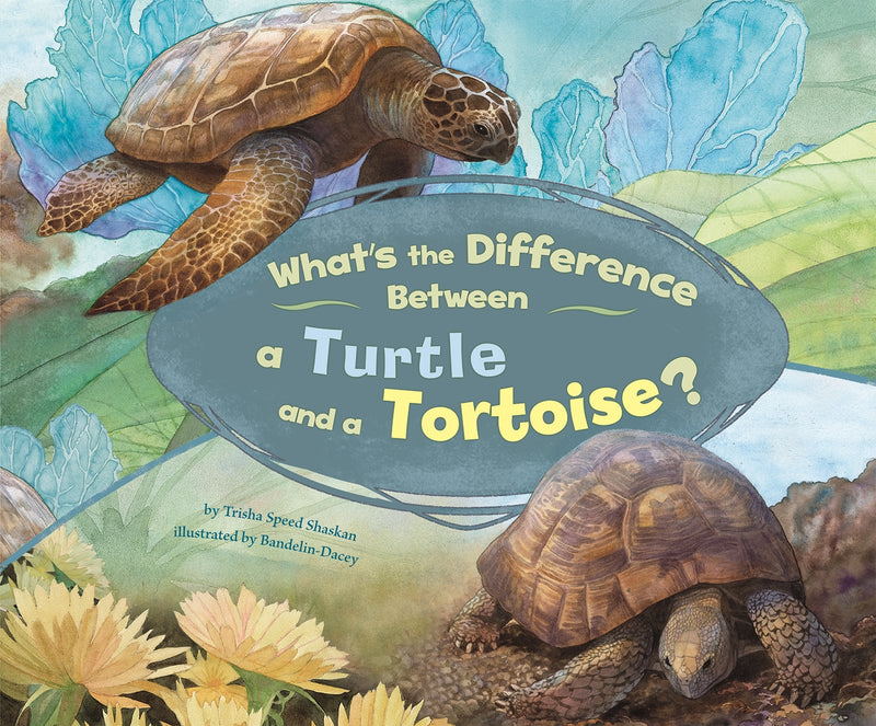 What's the Difference Between a Turtle and a Tortoise?
