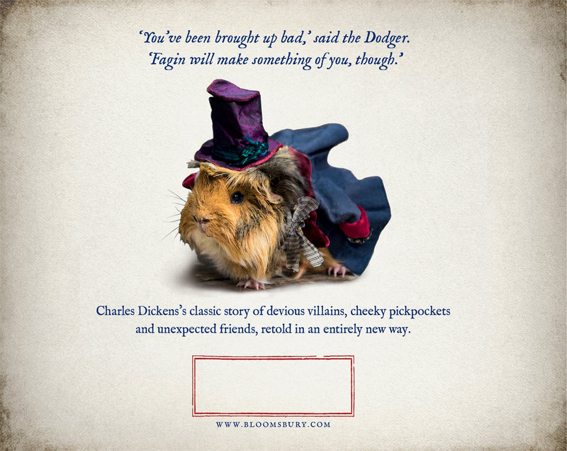 A Guinea Pig Oliver Twist