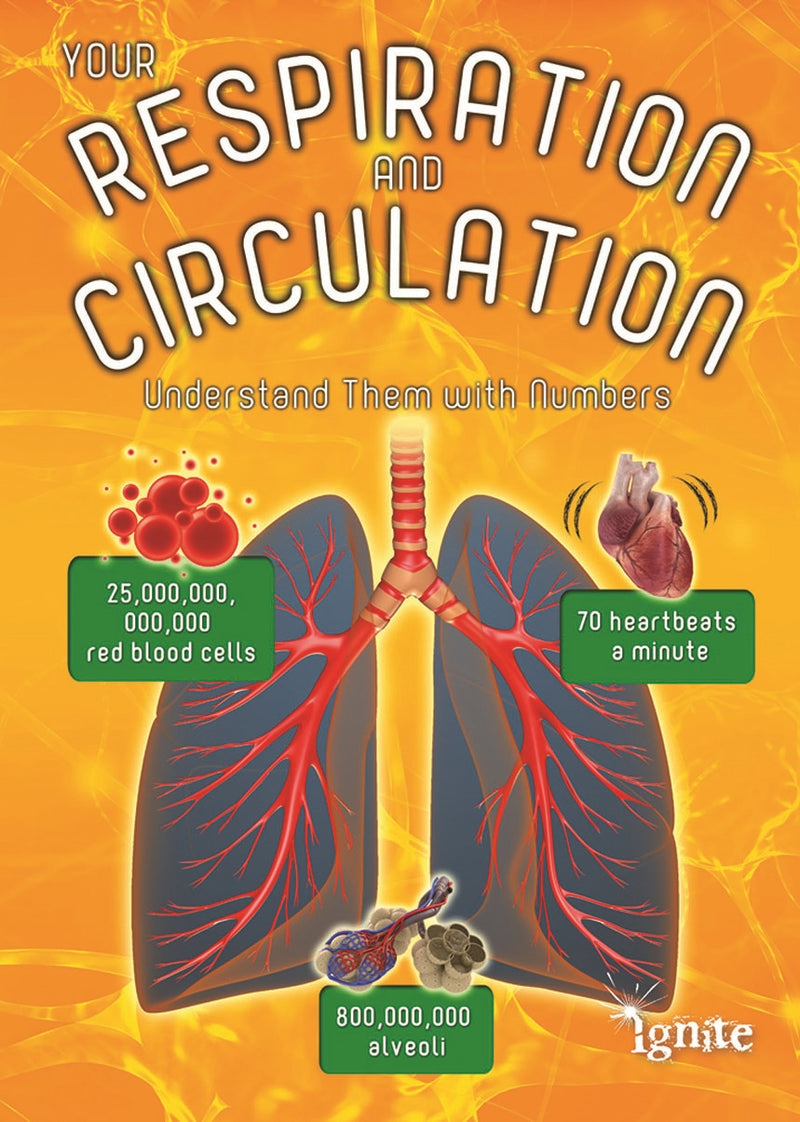 Your Respiration and Circulation: Understand Them with Numbers