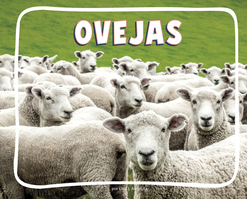 Ovejas (Sheep)