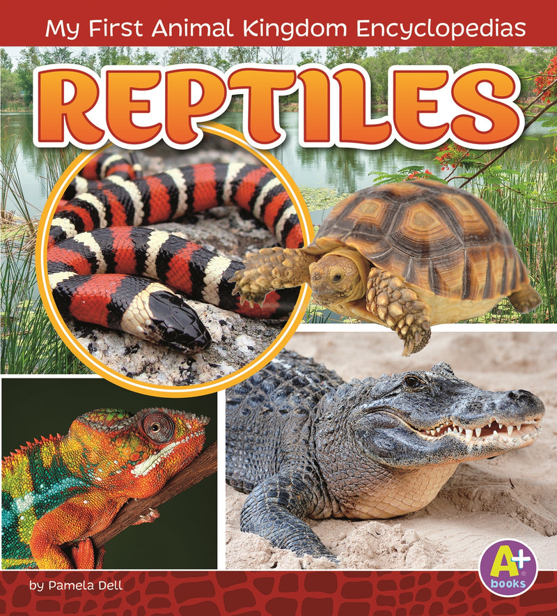 Reptiles