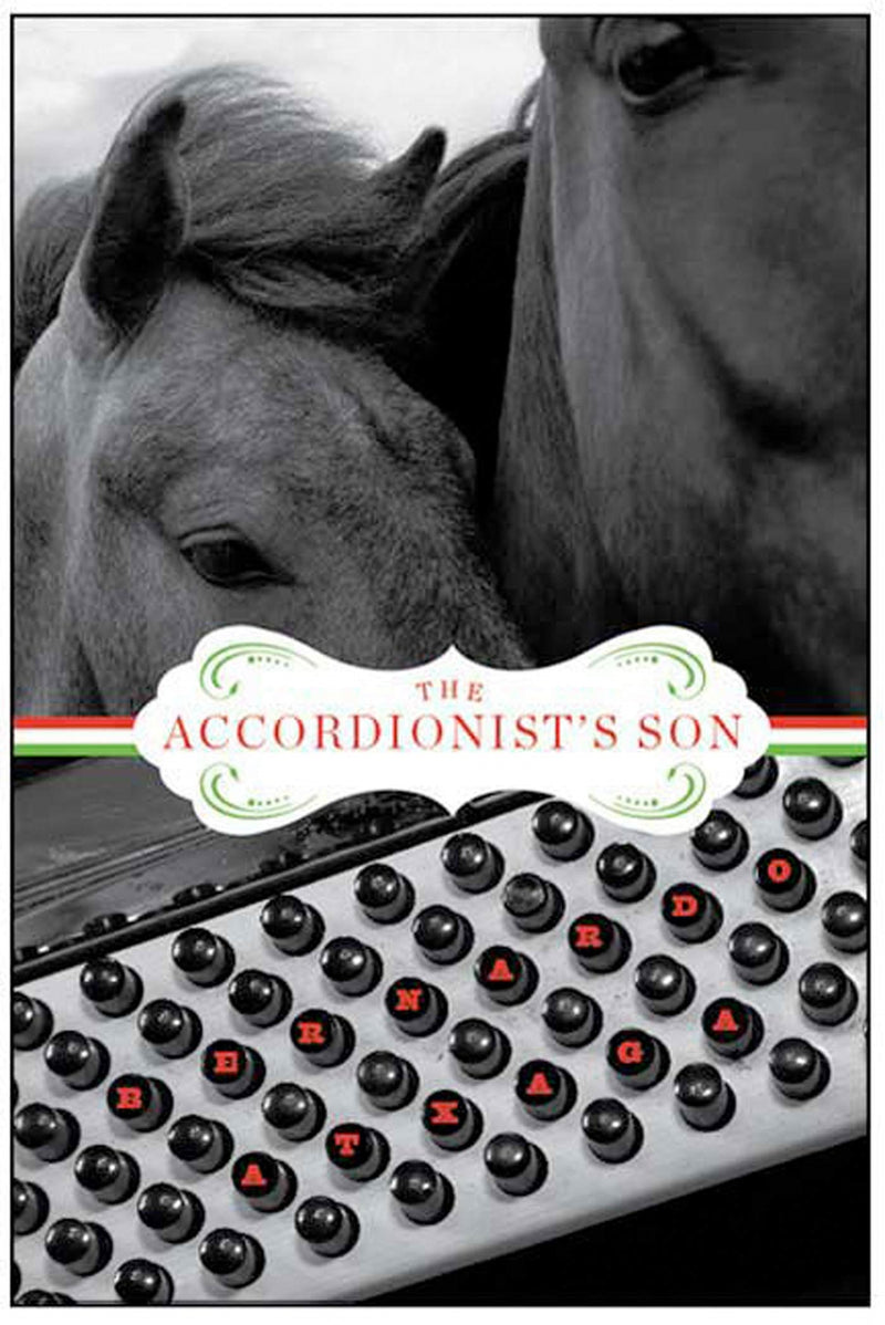 The Accordionist's Son