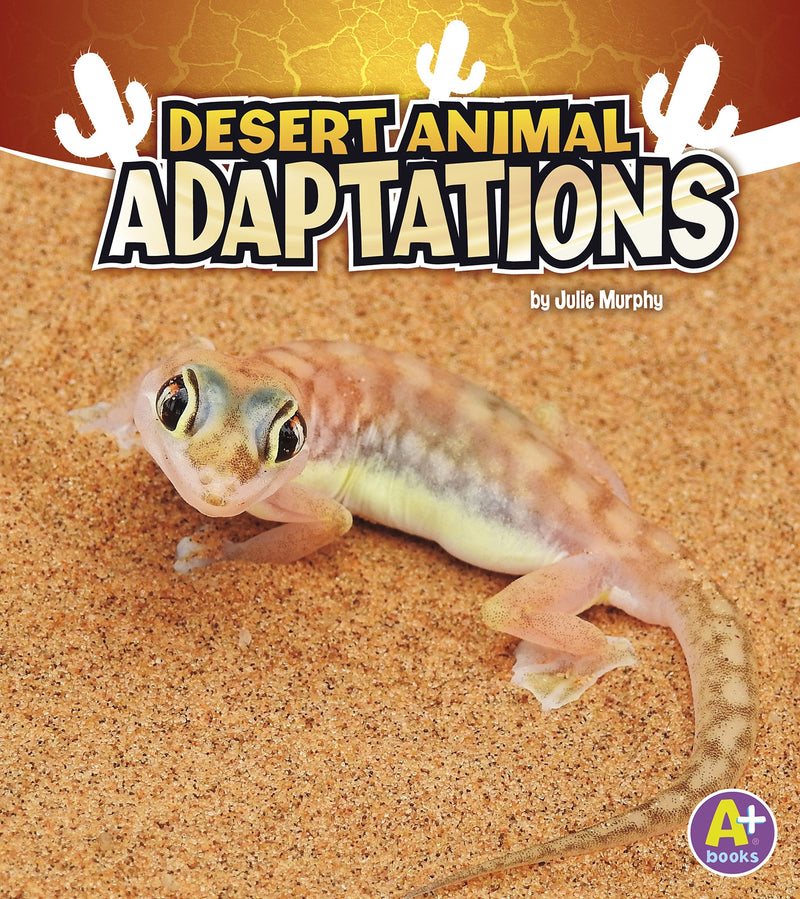 Desert Animal Adaptations