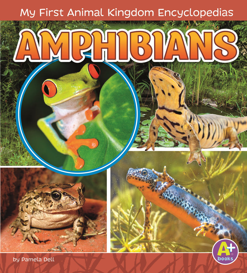 Amphibians