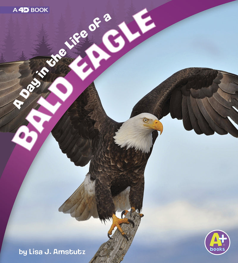 A Day in the Life of a Bald Eagle: A 4D Book