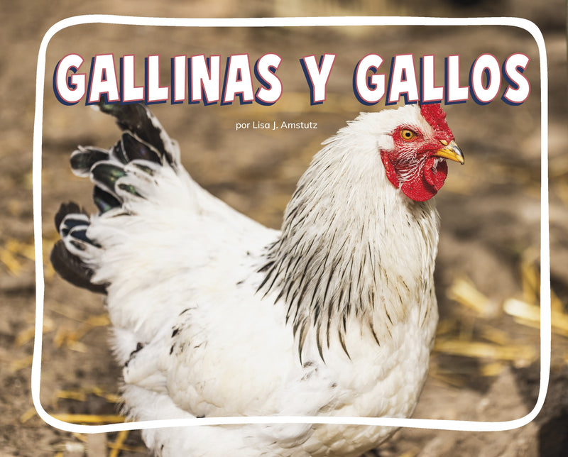 Gallinas y gallos (Chickens)
