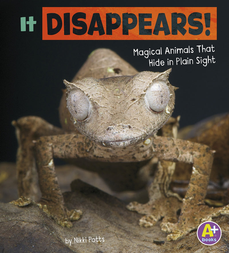 It Disappears!: Magical Animals That Hide in Plain Sight