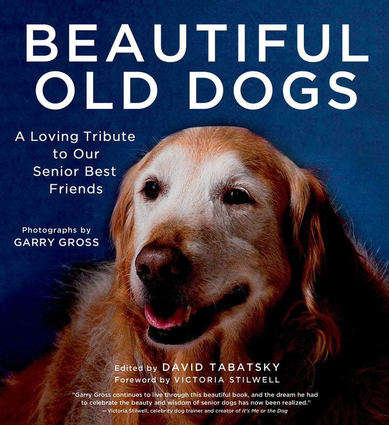 Beautiful Old Dogs