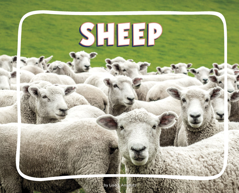 Sheep