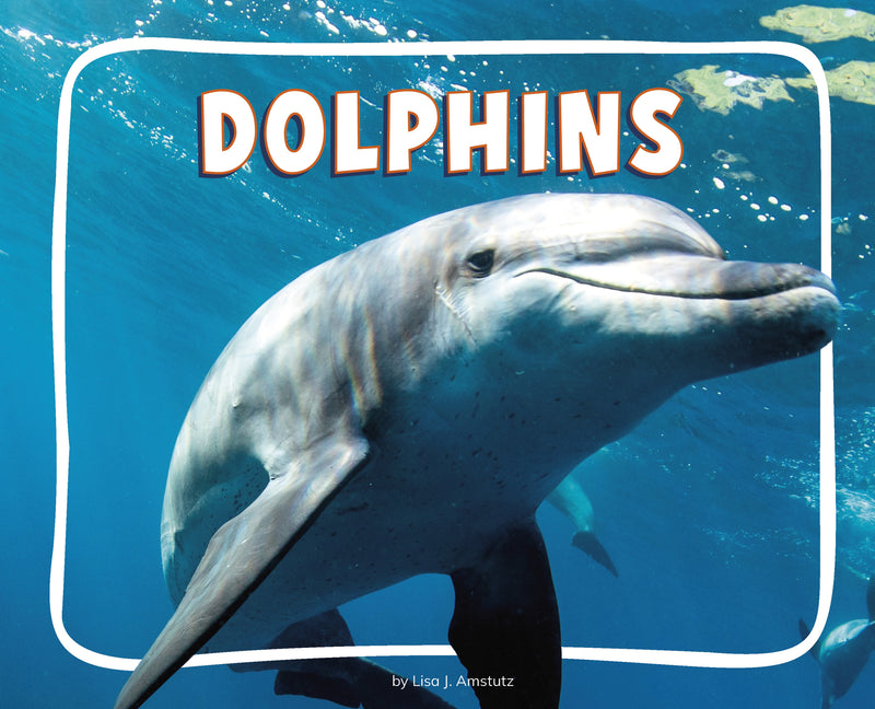 Dolphins