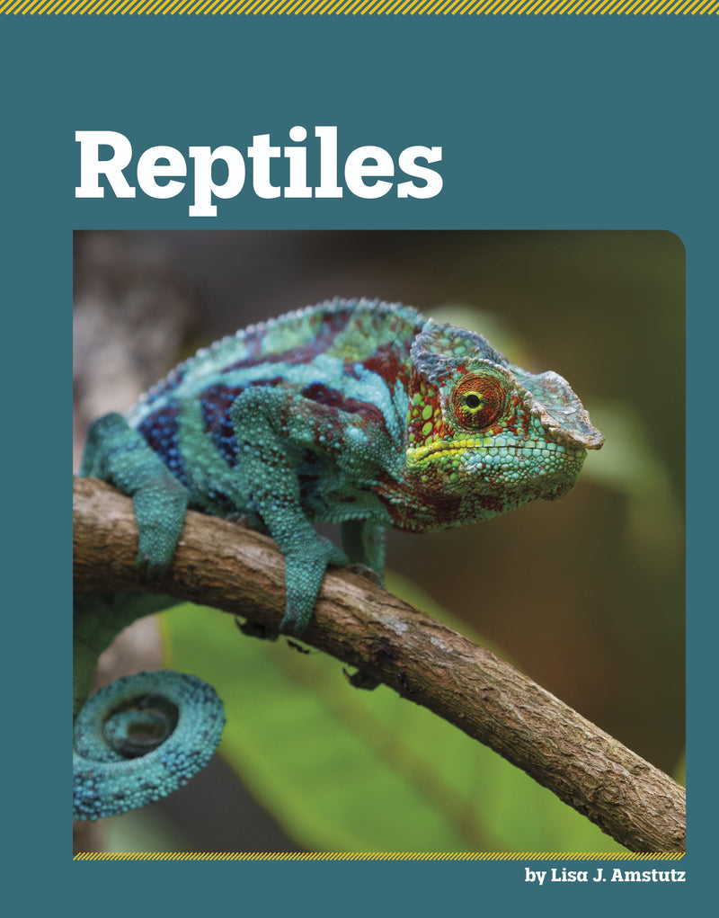 Reptiles