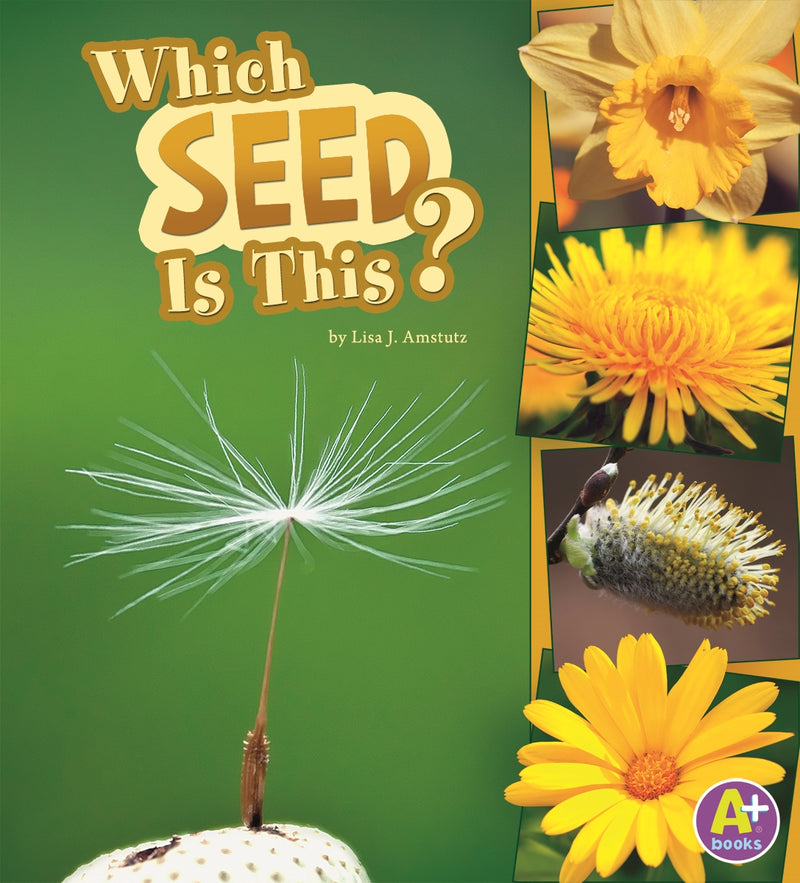 Which Seed Is This?