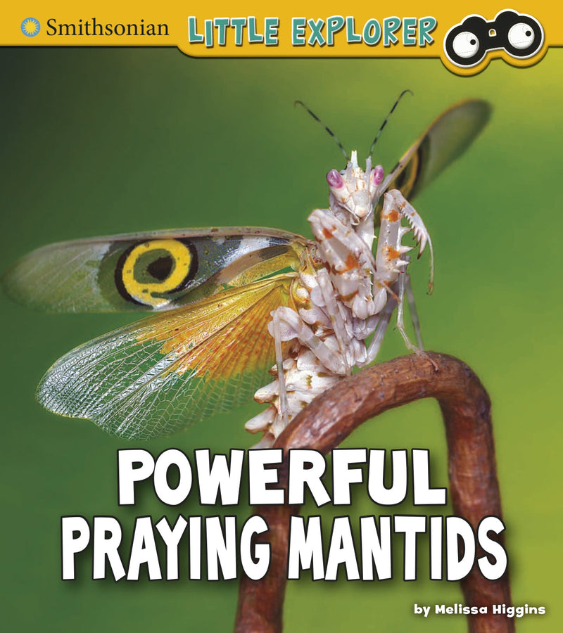 Powerful Praying Mantids