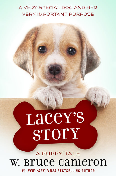 Lacey's Story