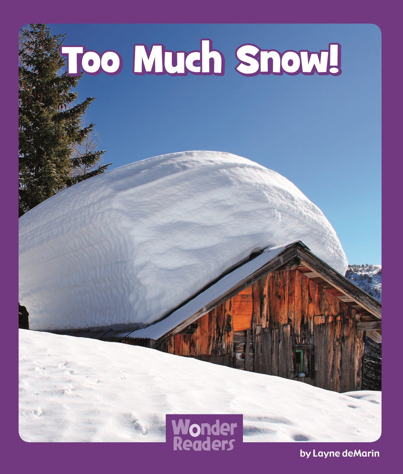 Too Much Snow