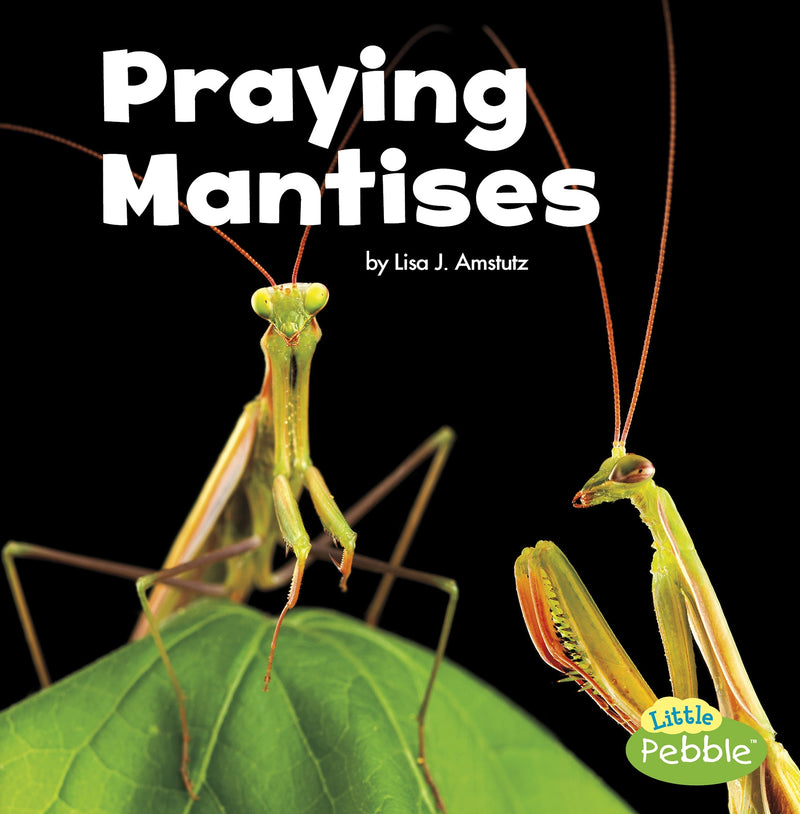 Praying Mantises