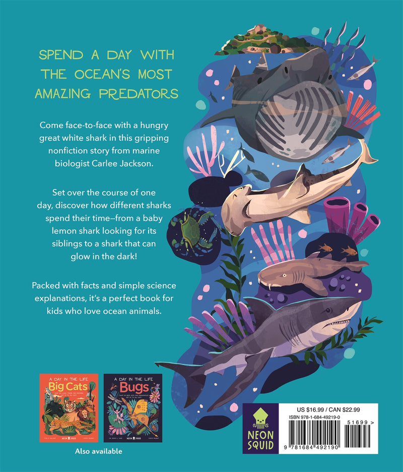 Sharks (A Day in the Life)