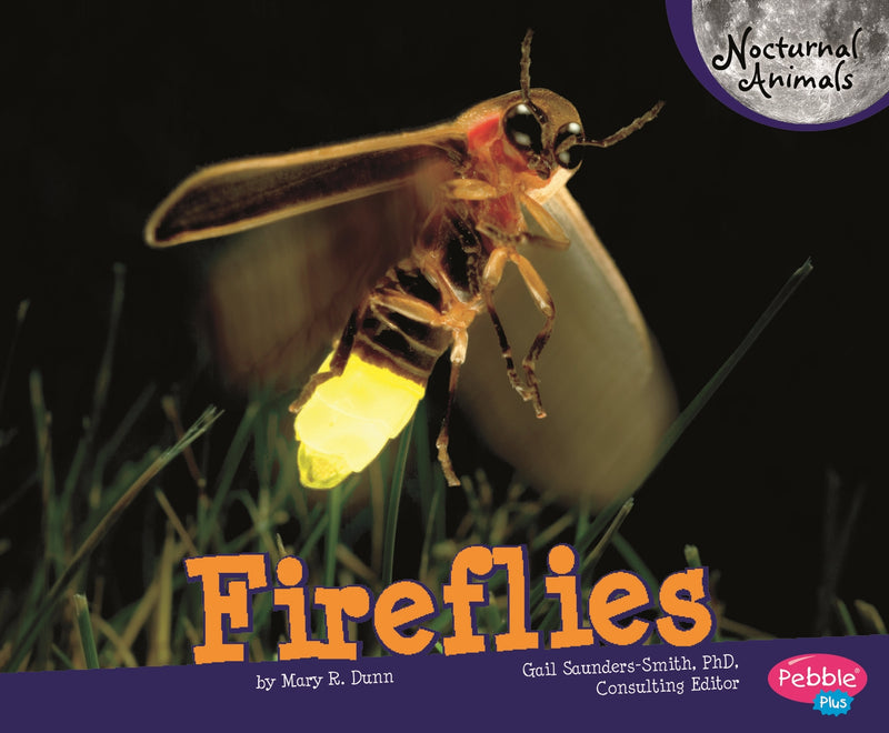 Fireflies