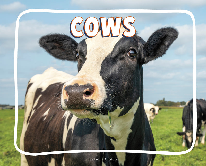 Cows