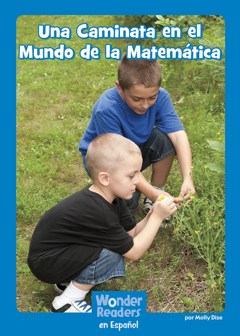 Una Caminata en el Mundo de la Matemática