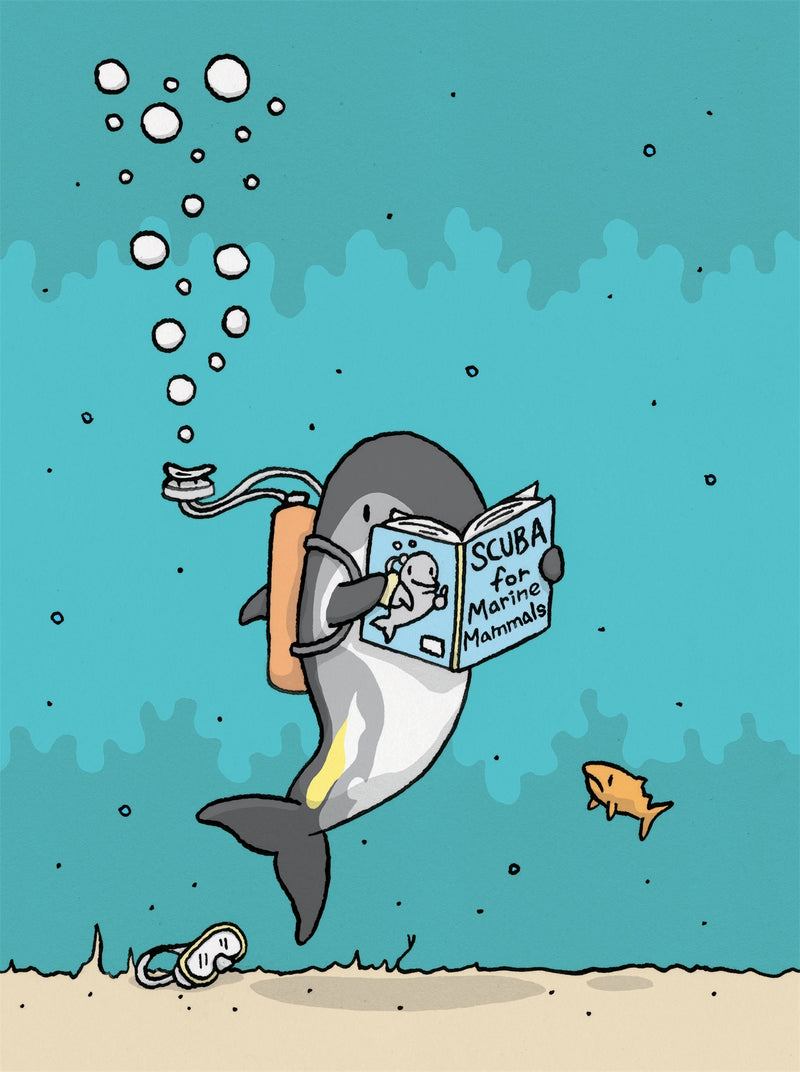 The Truth About Dolphins