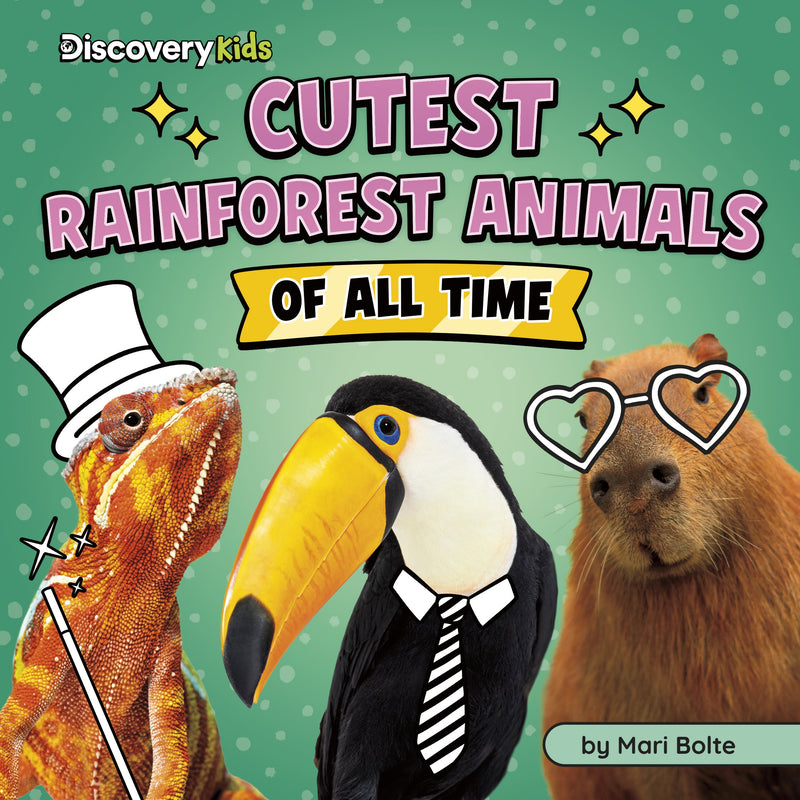 Cutest Rainforest Animals of All Time