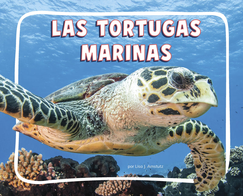 Las tortugas marinas