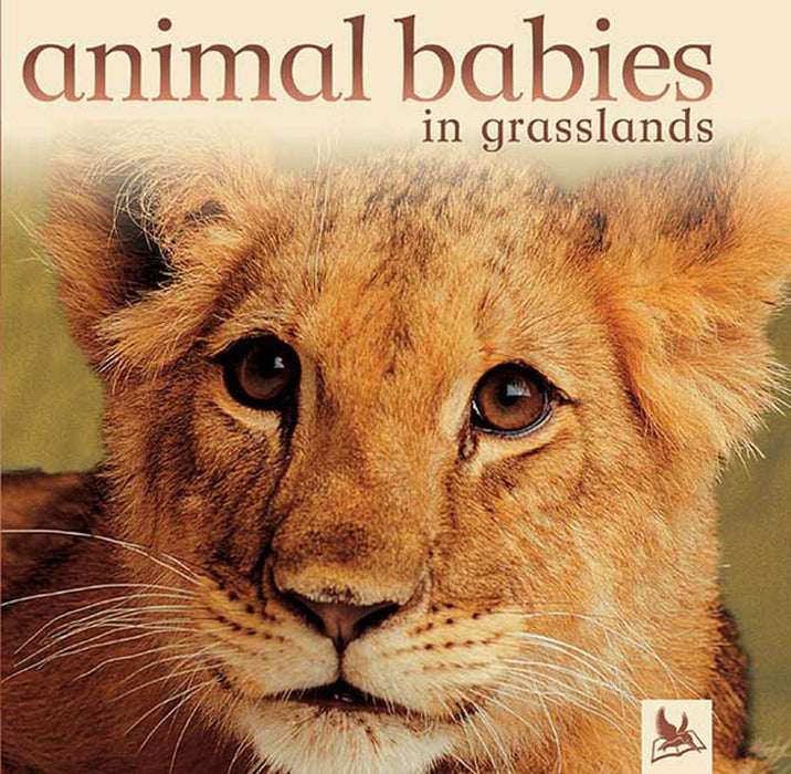 Animal Babies in Grasslands