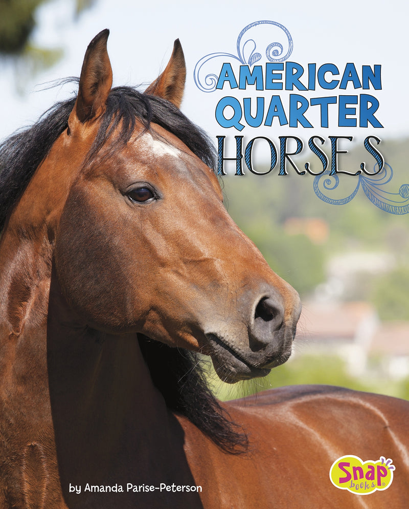 American Quarter Horses
