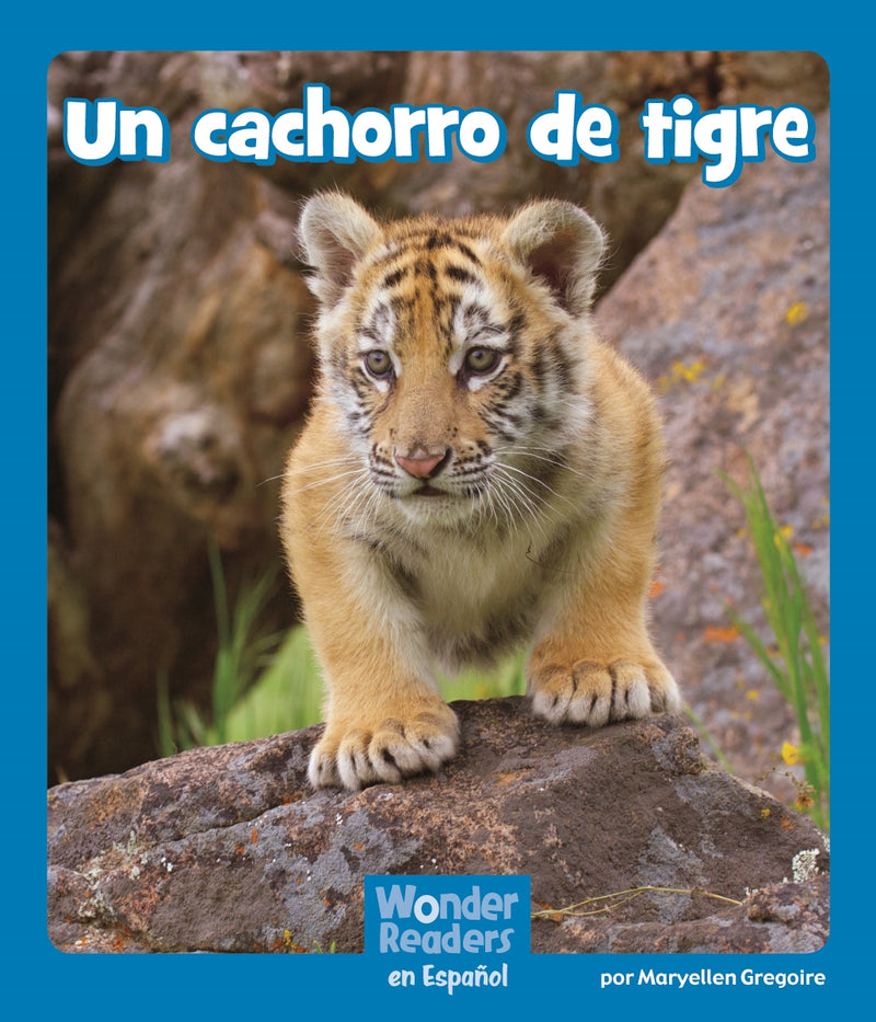 Un cachorro de tigre