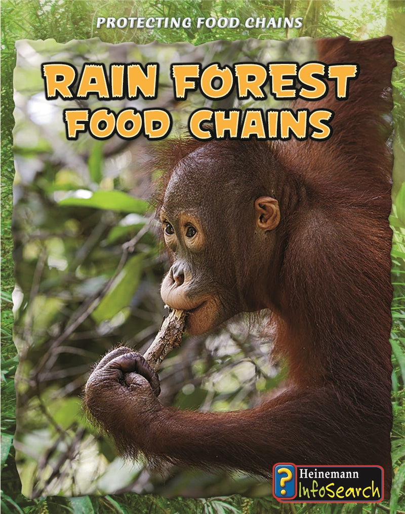 Rain Forest Food Chains