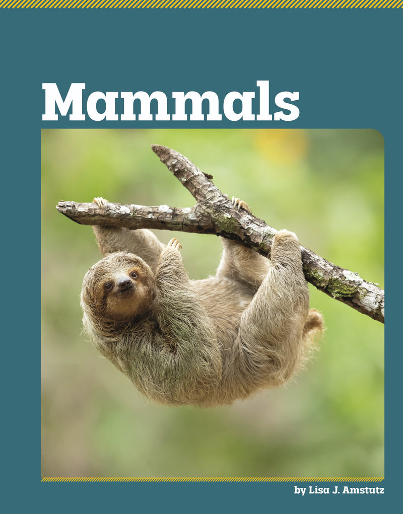 Mammals