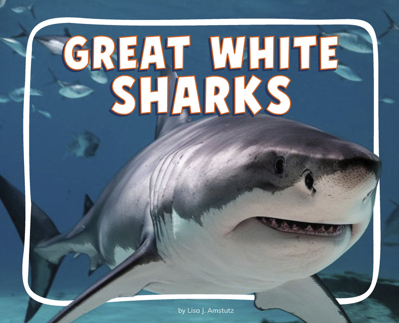 Great White Sharks