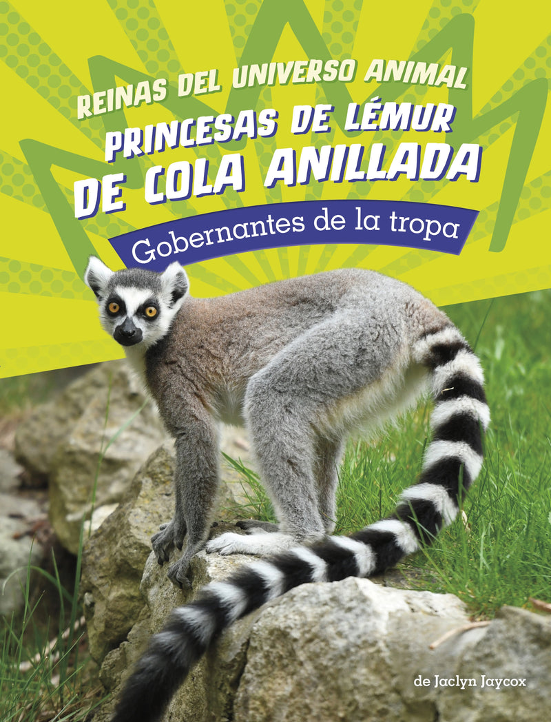 Princesas de lémur de cola anillada: Gobernantes de la tropa