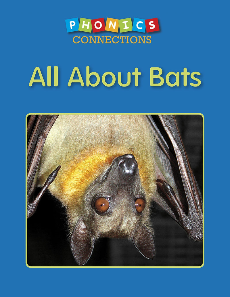 All About Bats