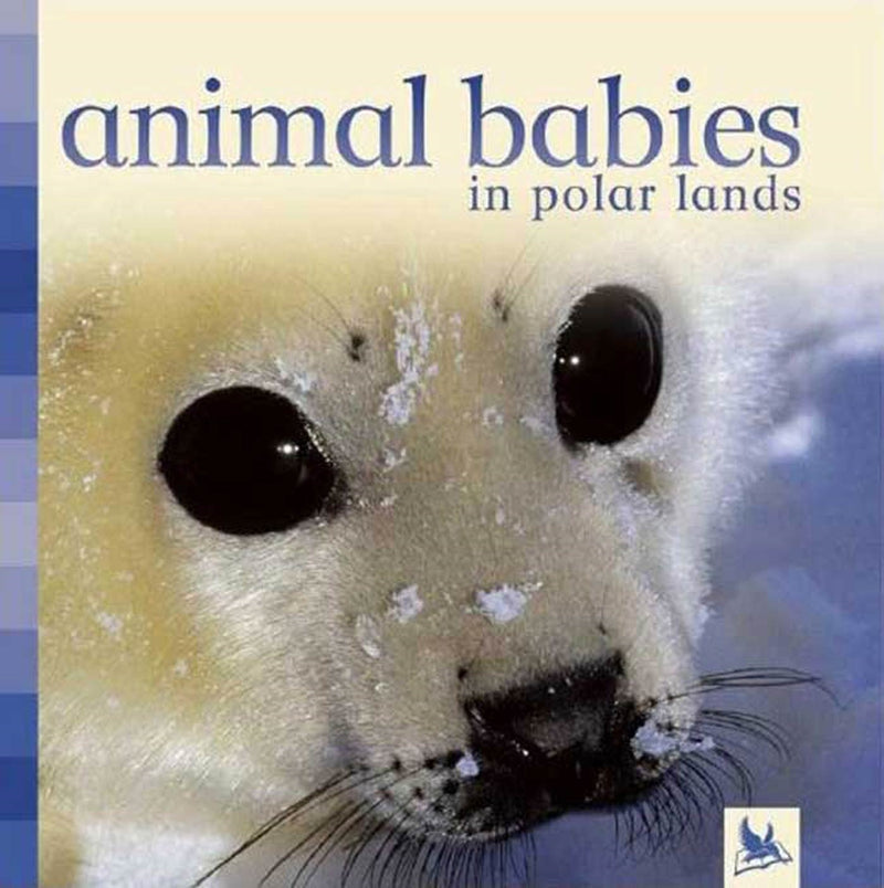 Animal Babies in Polar Lands